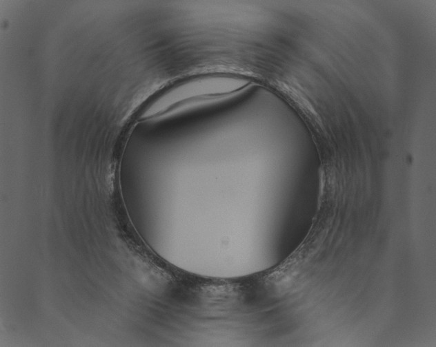 X0000089670160200707121233