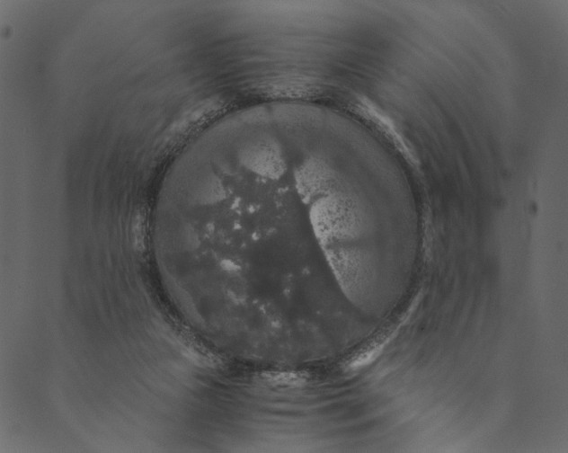 X0000089670161200707121233