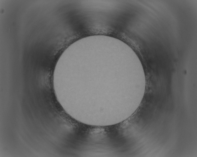 X0000089670162200707121233