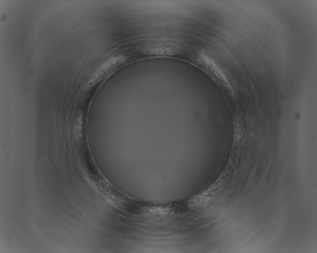 X0000089670163200707121233