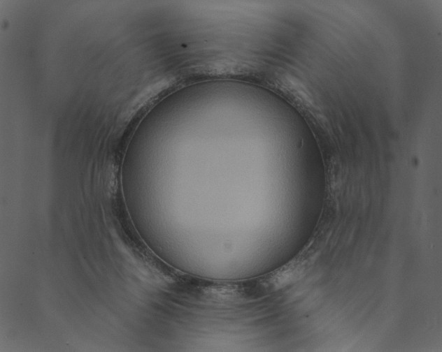 X0000089670164200707121233