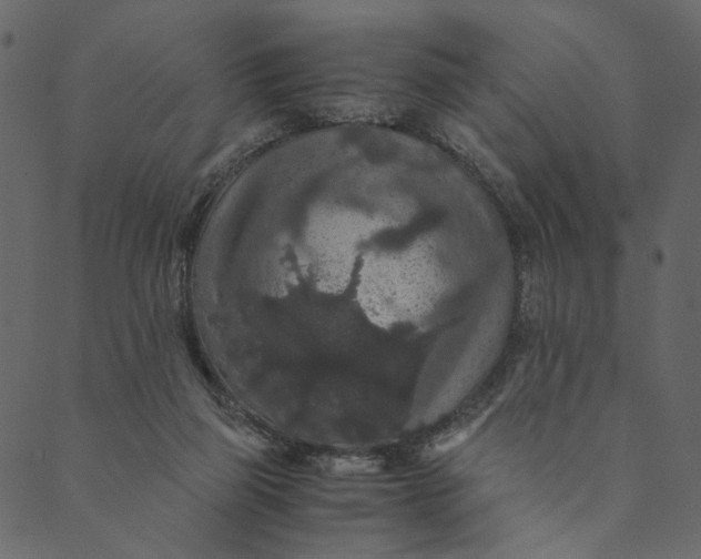 X0000089670165200707121233