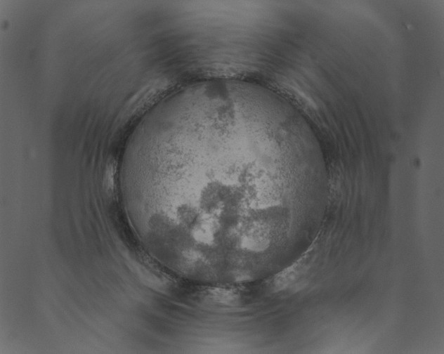 X0000089670166200707121233