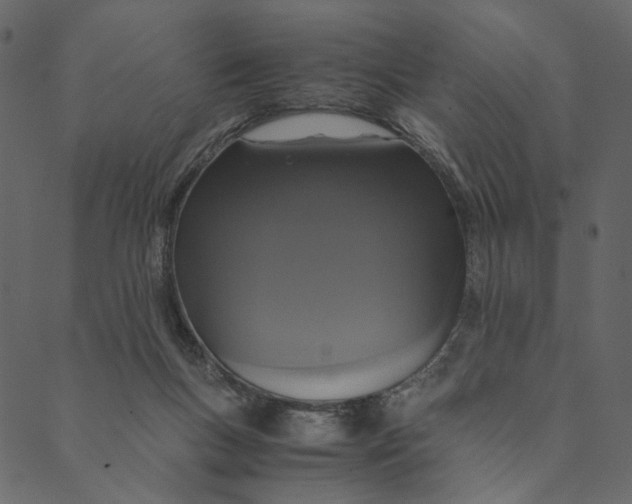 X0000089670167200707121233