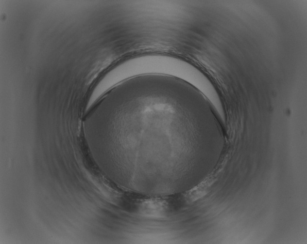 X0000089670168200707121233