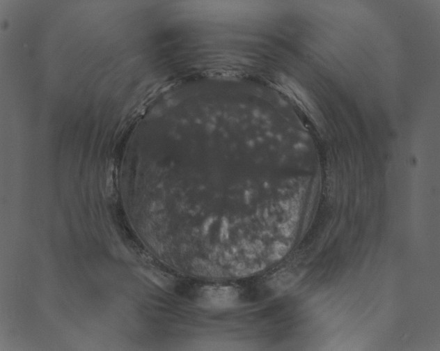 X0000089670169200707121233