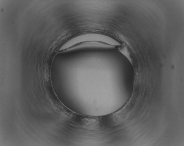 X0000089670170200707121233