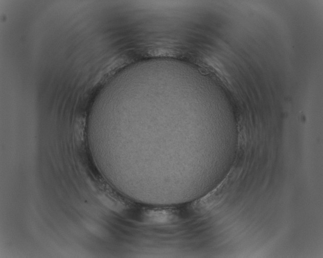 X0000089670171200707121233