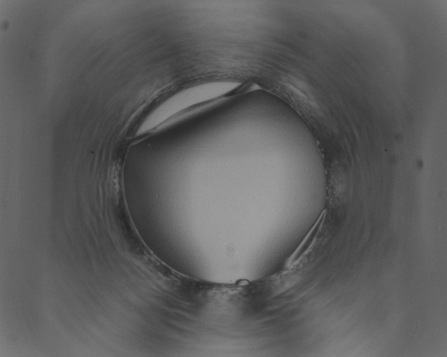 X0000089670172200707121233