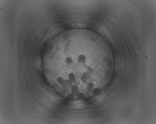 X0000089670173200707121233