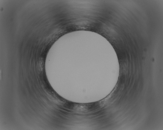 X0000089670174200707121233