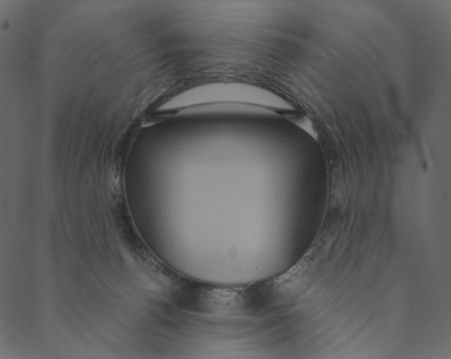 X0000089670176200707121233