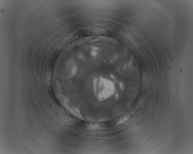 X0000089670177200707121233