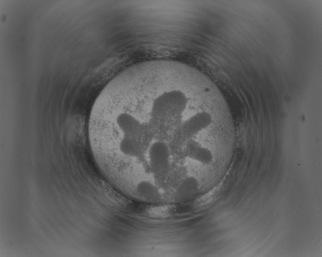 X0000089670178200707121233