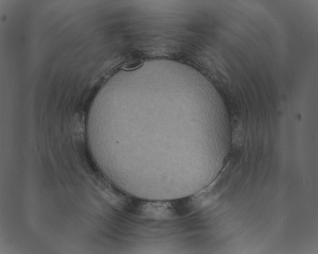 X0000089670179200707121233