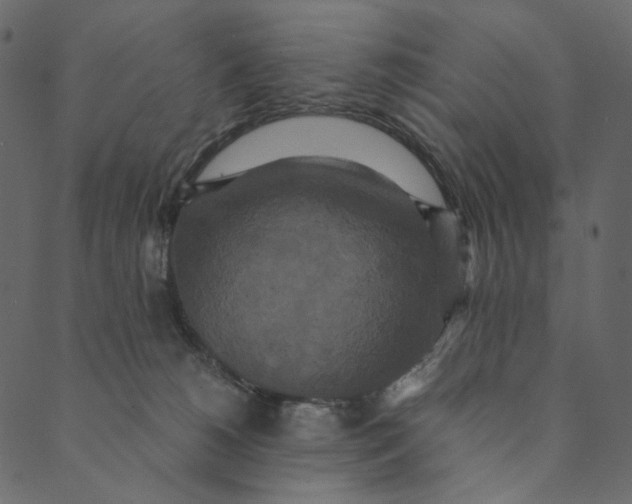 X0000089670180200707121233