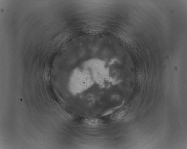 X0000089670181200707121233