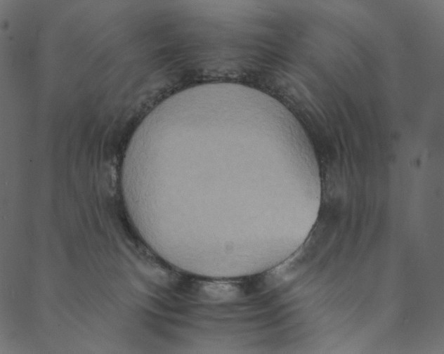 X0000089670183200707121233