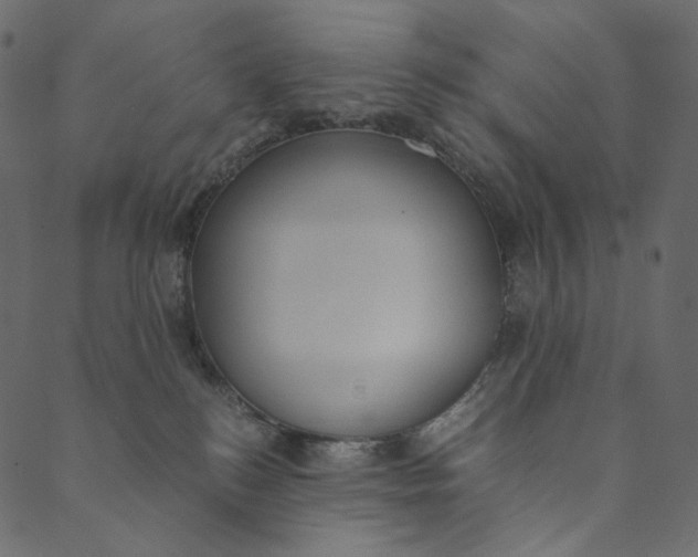 X0000089670184200707121233