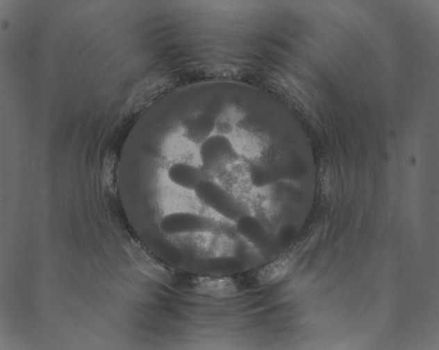 X0000089670185200707121233