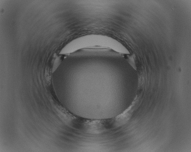 X0000089670186200707121233