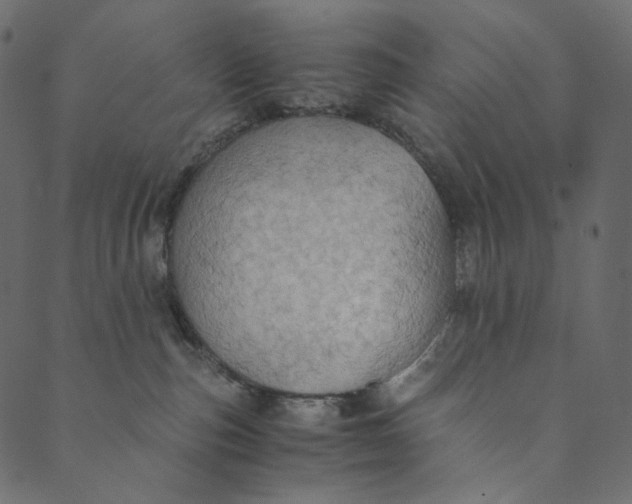 X0000089670187200707121233