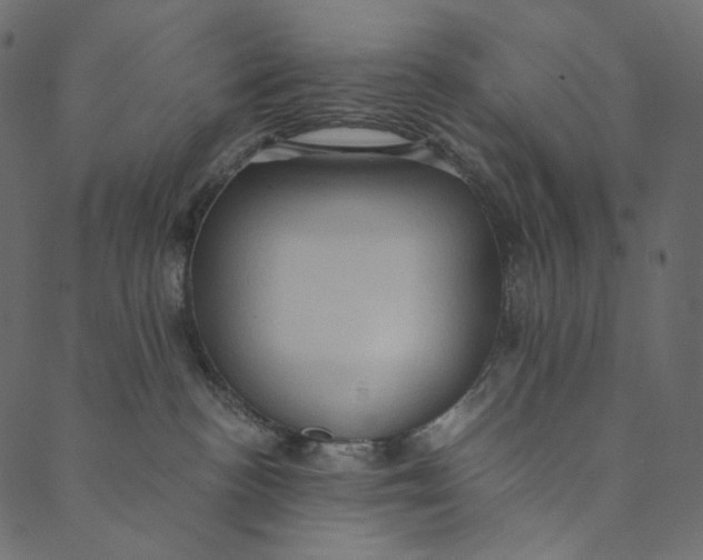 X0000089670188200707121233