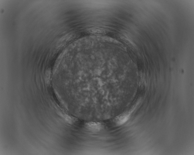 X0000089670189200707121233