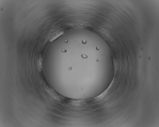 X0000089670190200707121233