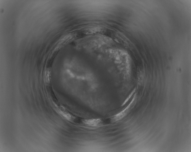 X0000089670191200707121233