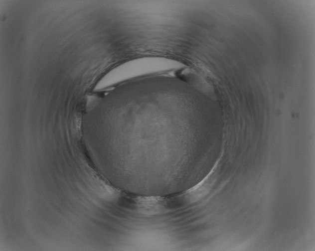 X0000089670192200707121233