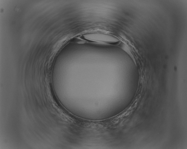 X0000089670193200707121232