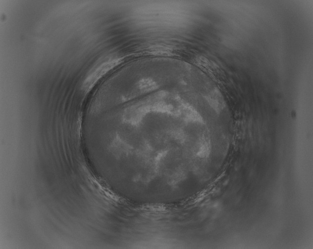 X0000089670194200707121232