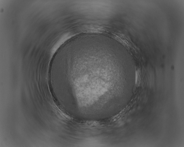 X0000089670195200707121232