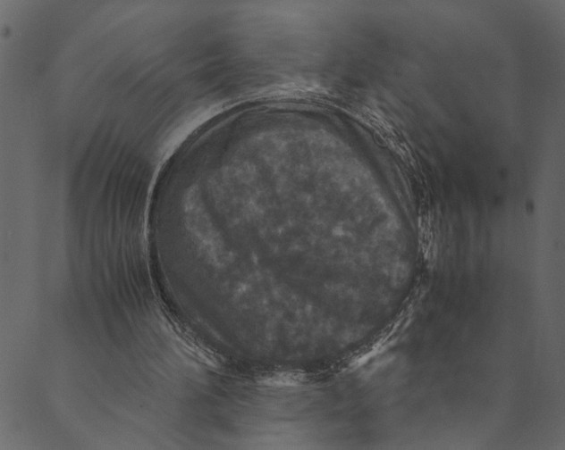 X0000089670196200707121232