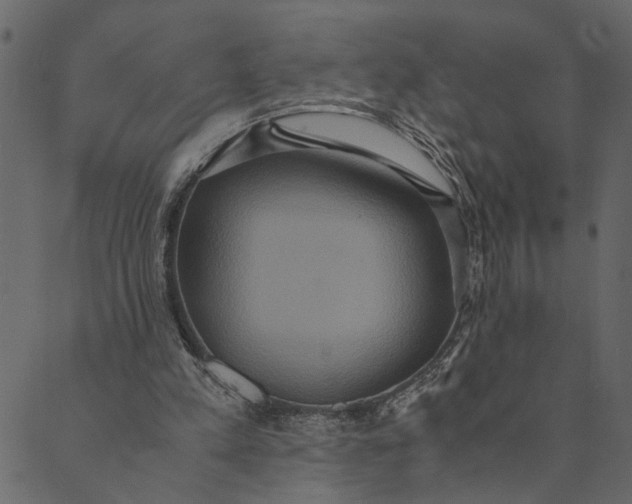 X0000089670197200707121232