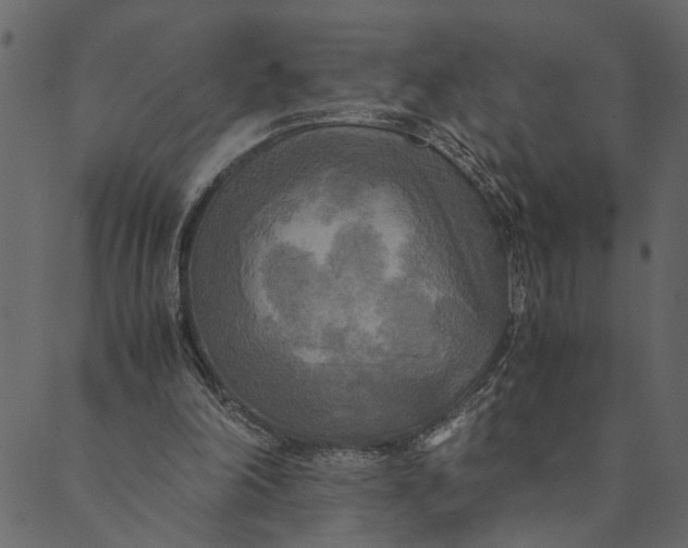 X0000089670198200707121232