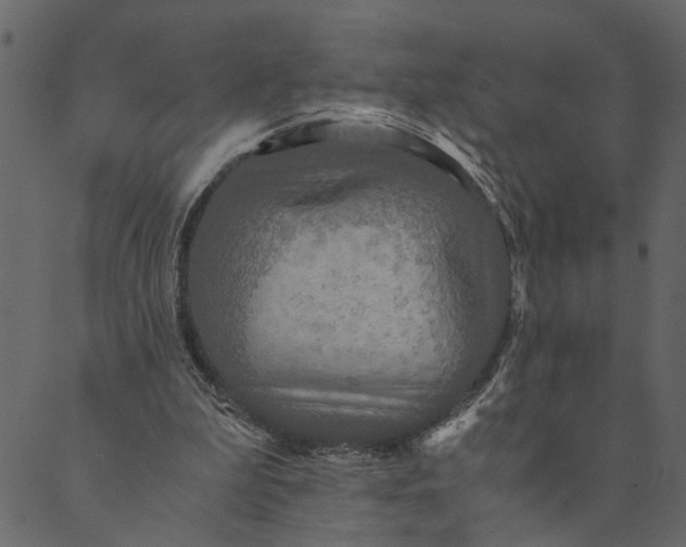 X0000089670199200707121232