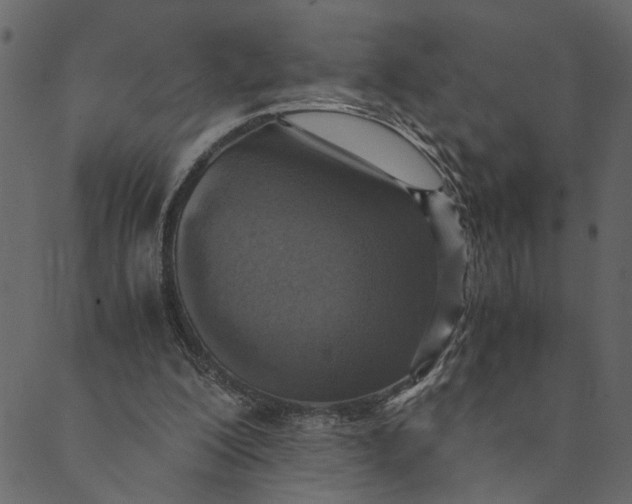 X0000089670200200707121232