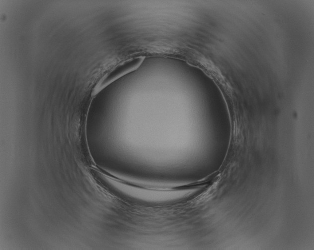 X0000089670201200707121232