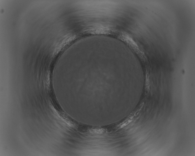 X0000089670202200707121232