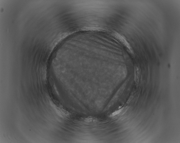 X0000089670204200707121232