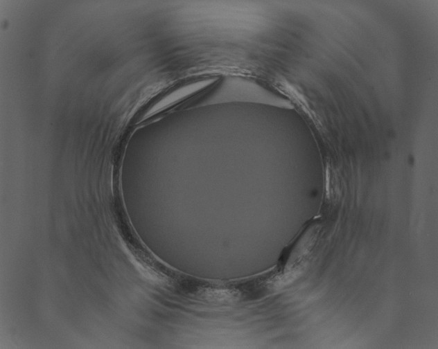 X0000089670205200707121232