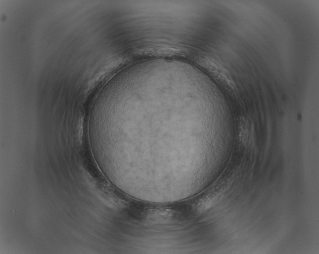 X0000089670206200707121232