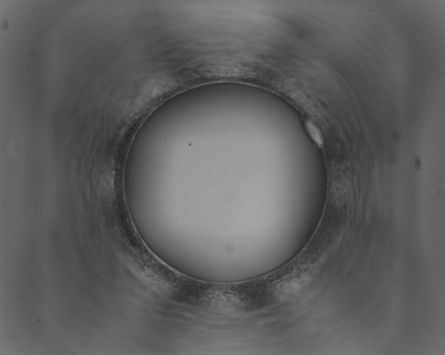 X0000089670207200707121232