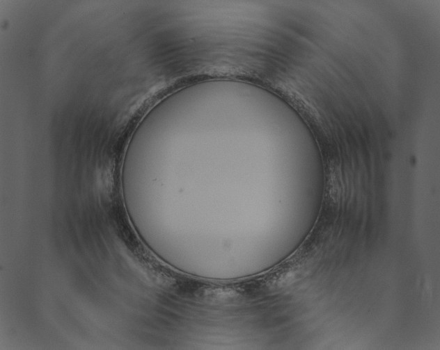 X0000089670208200707121232