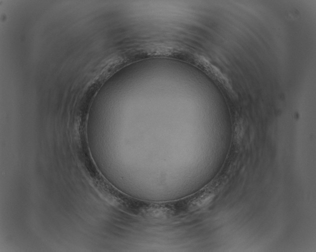 X0000089670209200707121232