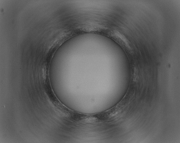 X0000089670210200707121232