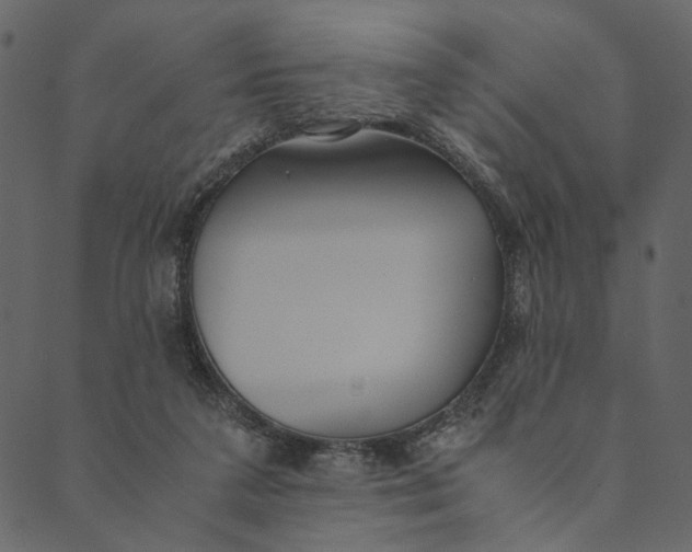 X0000089670211200707121232