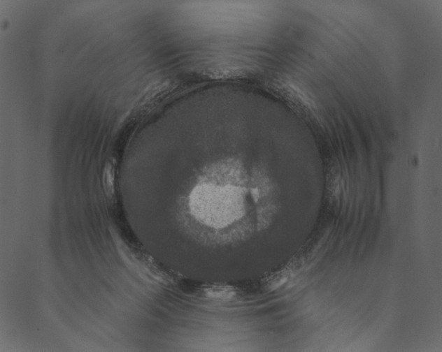 X0000089670214200707121232